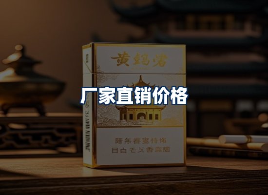 专业团队办公环境